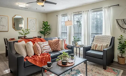 furnished living space